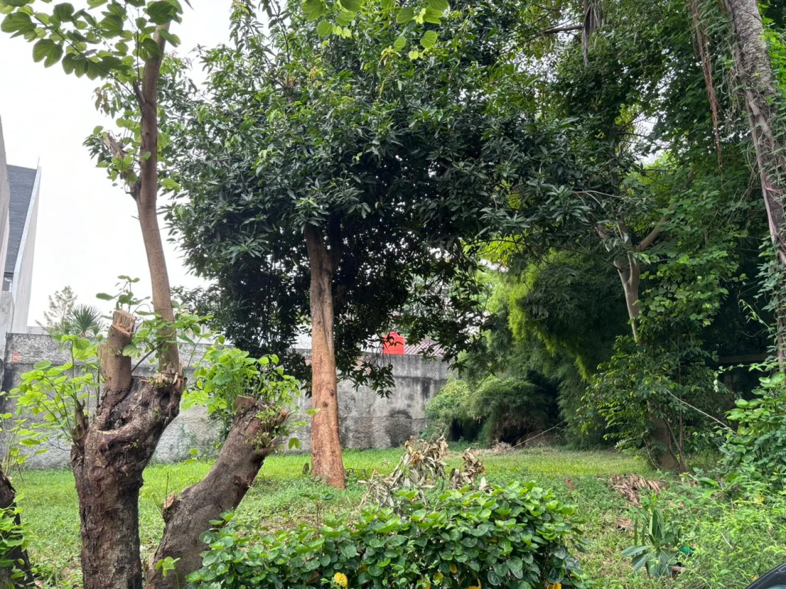 Foto 3