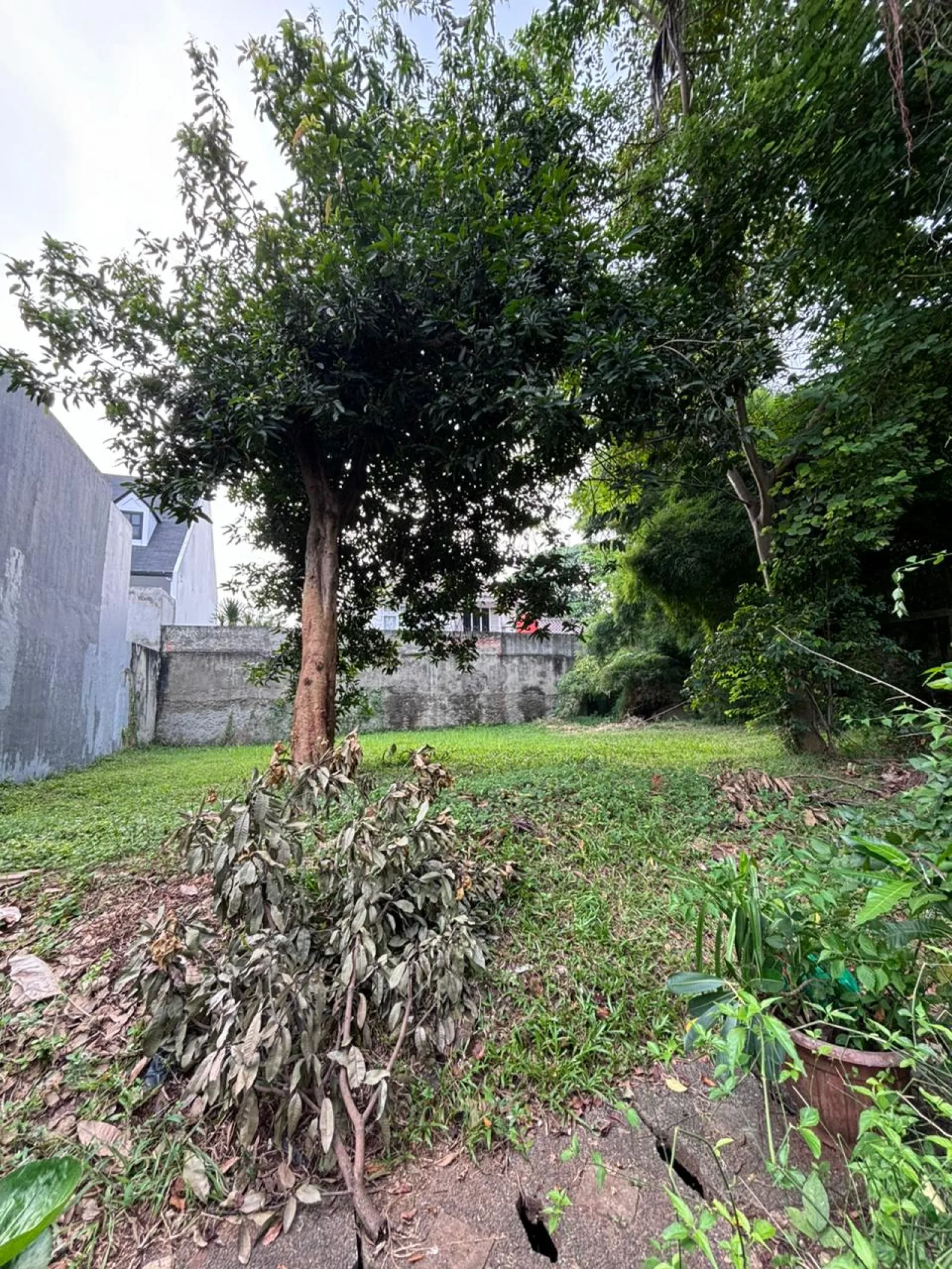 Kavling Dijual di Bintaro Sektor 8, Lokasi Strategis Siap Bangun